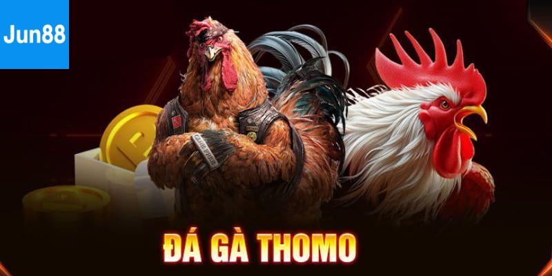 Đá gà Thomo C3 là gì?